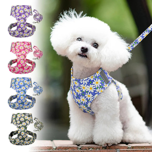 Nylon Printed Mesh Pet Dog Harness No Pull Small Puppy Cat Harness Leash Set