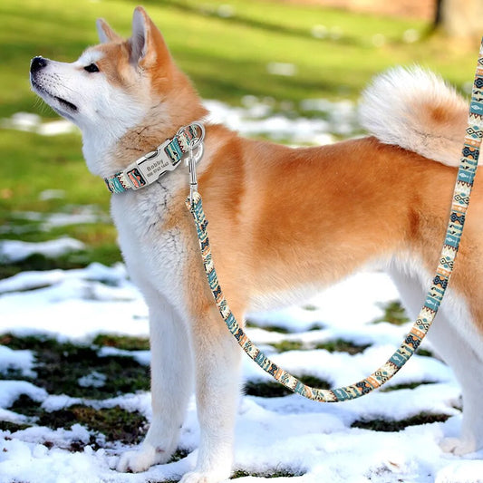 Nylon Dog Leash Lead Printed Pet Puppy Chihuahua Walking Leash
