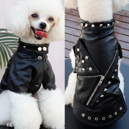 Cool Dog Jacket French Bulldog Puppy Dog Clothes Pet Coat Chihuahua Pug Pets Dogs Clothing