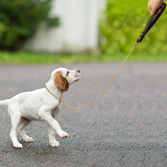 Dog Chain Collar Leash Pet Walking Training Choke Collar Leashes