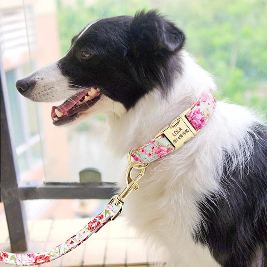 Nylon Printed Dog Collar Leash Set Personalized Pet Dog Collar Necklace