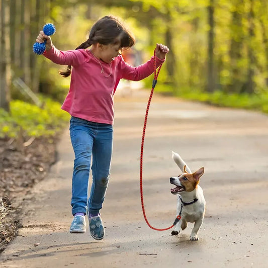 1.5m Durable Dog Leash Nylon Puppy Round Leashes Non-slip Pet Walking Lead Rope