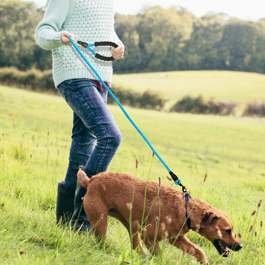 Reflective Dog Leash Nylon Pet Dog Leash Rope For Small Medium Large Dogs