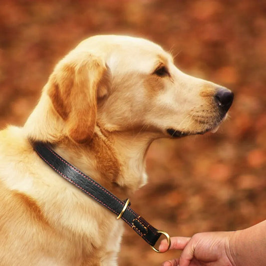Handmade Genuine Leather Dog Collar Durable P Choke Pet Training Collars