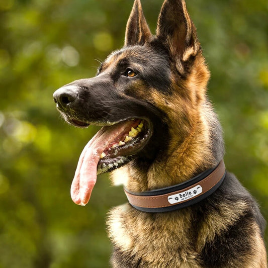 Personalized Leather Dog Collar Customized Engraved Pet Big Dog Bulldog Collars