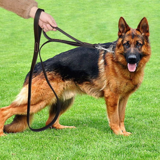 Geniune Leather Pet Dog Leash Rope Pet Training Walking Lead Leashes