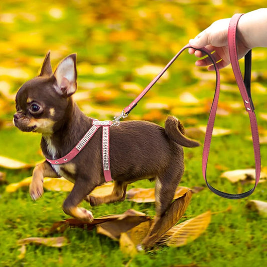 Bling Rhinestone Dog Harness Leather Puppy Cat Harness Vest Leash Set