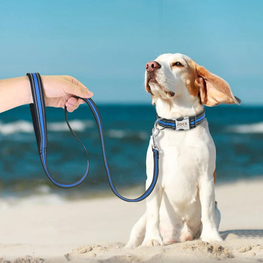 Dog Leash Lead Reflective Nylon Pet Walking Running Training Dog Leashes Rope