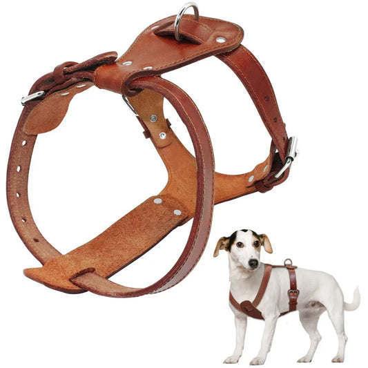 Genuine Leather Dog Harness  Brown 16"-30" Chest Adjustable Straps