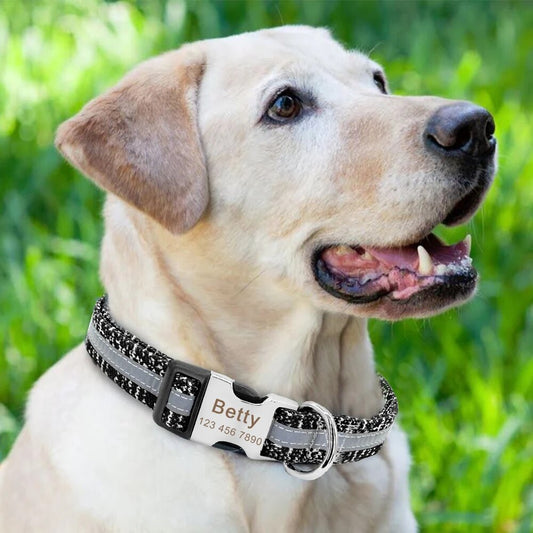 Dog Collar Personalized Reflective Dog Collars Custom Engraved Name Tag Collar