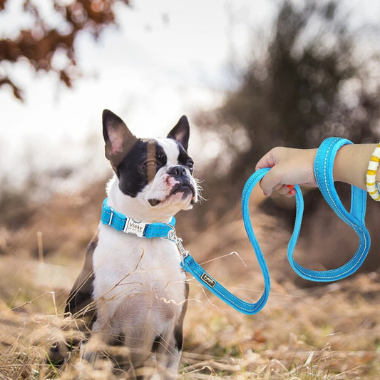 Dog Leash Soft Nylon Padded Pet Dog Lead Belt Reflective Walking Running Dog Leashes