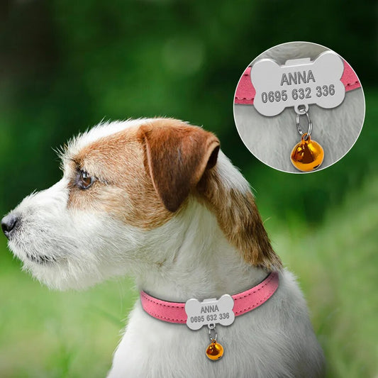 Personalized Dog Collars Custom Chihuahua Puppy Cat Collar Bone ID Tags Engraved