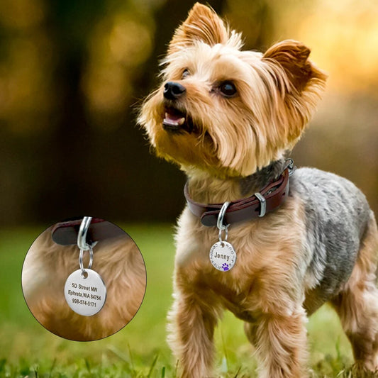 Personalized Pet Dog Cat Tag Customized Dog ID Tag Collar