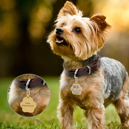 Free Engraved Pet Dog ID Tag Personalized Cat Puppy ID Tag Pet Dog Collar Accessories