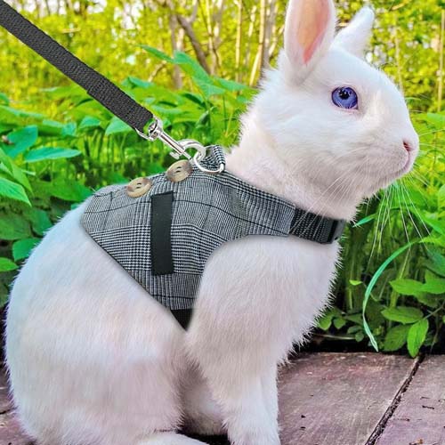 Hamster Rabbit Dog Harness Vest Pet Puppy Harness Leash Lead Set