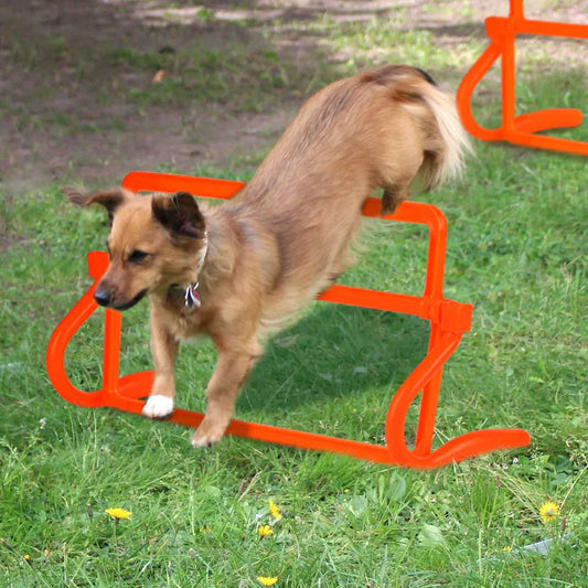Dog Agility Training Equipment Outdoor Kit Obstacle Dog Pet Training Set