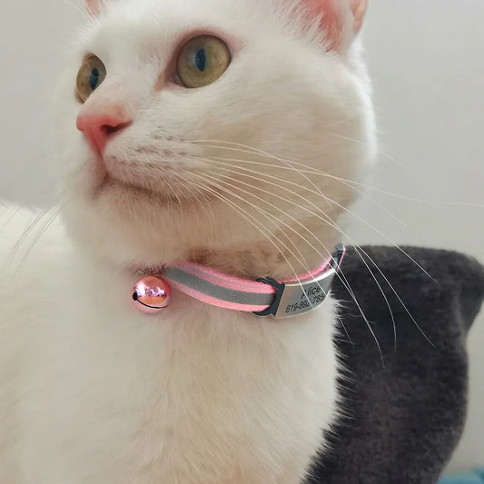 Reflective Personalized Cat Name ID Tag Collar Accessories