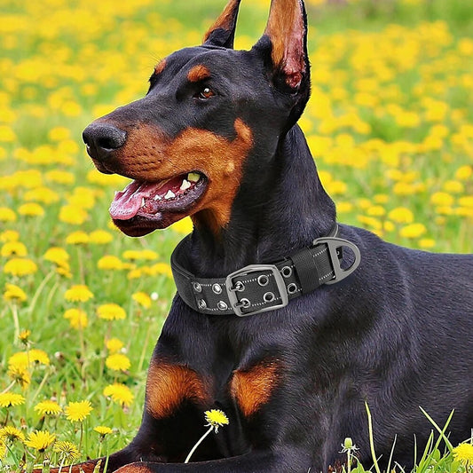 Tactical Military Dog Collar Adjustable Nylon Dog Collar Durable For Medium Large Dogs