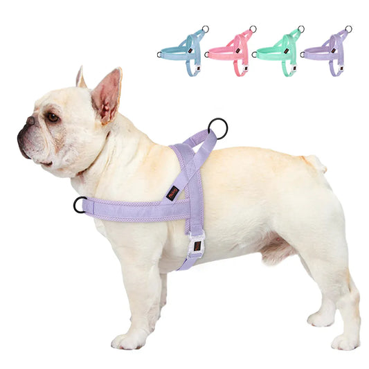 Adjustable Nylon Dog Harness Colorful Pet Dogs Vest Harness
