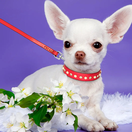 Genuine Leather Small Medium Dog Cat Collar Adjustable Rhinestone  Pet Puppy Collars