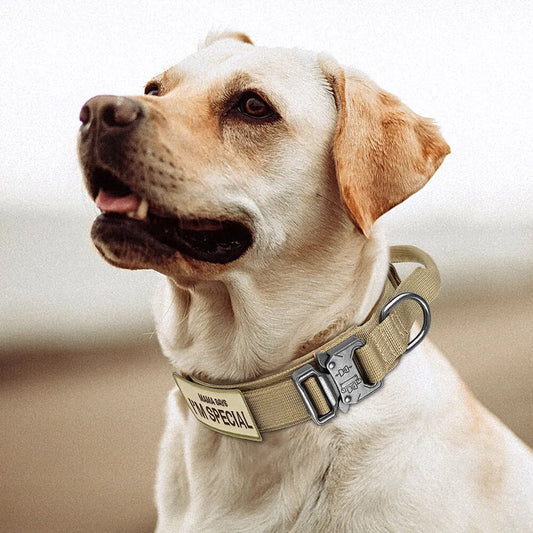 Tactical Dog Collar With Handle Nylon Military Dog Collar Adjustable Pet Training Collars