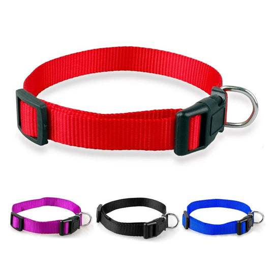 Adjustable Nylon Pet Dog Collar For Small Medium Large Dogs