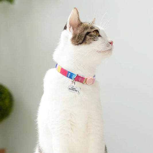 Personalized Small Dog Cat Collar With Bell Fish Tag Accessories