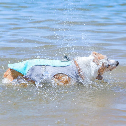 Cooling Dog Summer Harness Mesh Pet Dog Vest Clothes Breathable Pet Cooling Harness