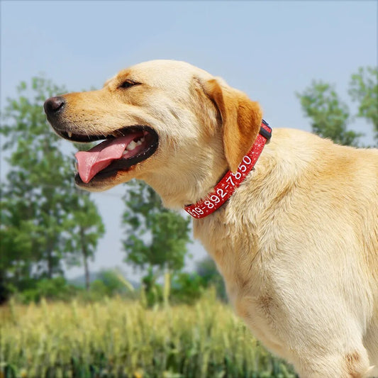 Adjustable Nylon Embroidered Dog Collar Custom ID Name Accessories Pet Collars