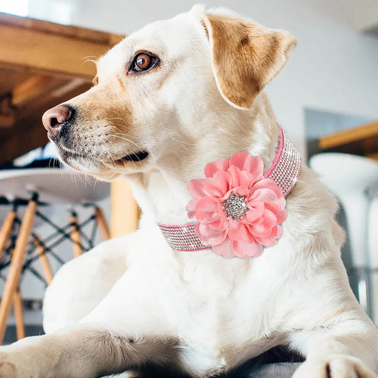Pink Collar For Dog Bling Rhinestone Pet Collars Glitter Rhinestone Puppy Cat Necklace