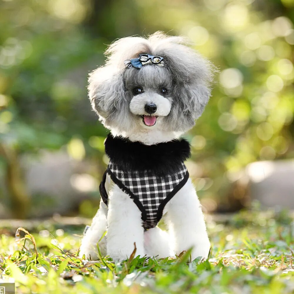 Soft Warm Pet Dog Cat Harness With Removable Fur Breathable Plaid Dog Harness Vest