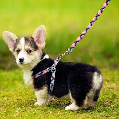 Nylon Dog Harness Leash Set Printed Puppy Vest Pet Walking Training Leash Lead