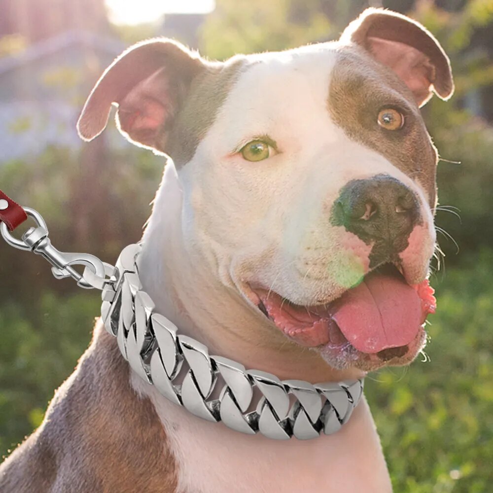 Strong Metal Dog Chain Collars Stainless Steel Pet Training Choke Collar