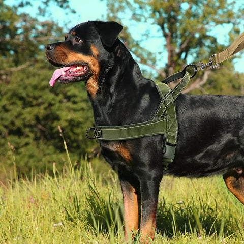 Reflective No Pull Nylon Dog Harness Adjustable Pet Walking Training Harness Vest