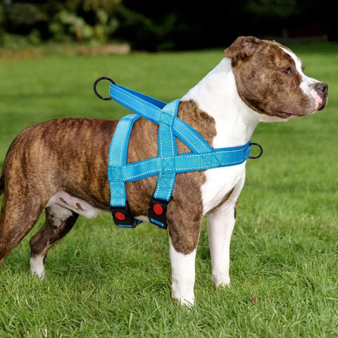 No Pull Nylon Dog Harness Reflective Adjustable Dog Harness Vest