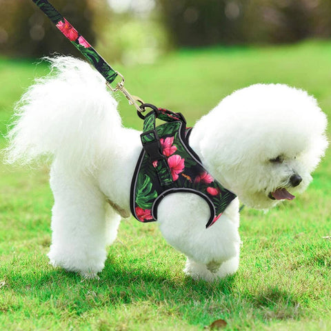 Printed Mesh Dog Cat Harness Leash Set Adjustable Nylon No Pull Pet Dog Harness Vest