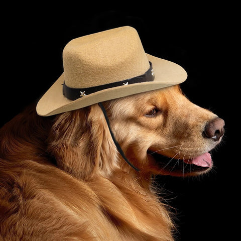 Fashion Pet Dog Hat Outdoor Dog Cat Cowboy Straw Hat For Small Medium Dogs Cats