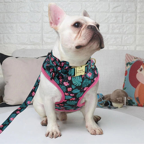 3pcs/lot Personalized Dog Collar Printed Puppy Chihuahua Collar Harness Leash Set