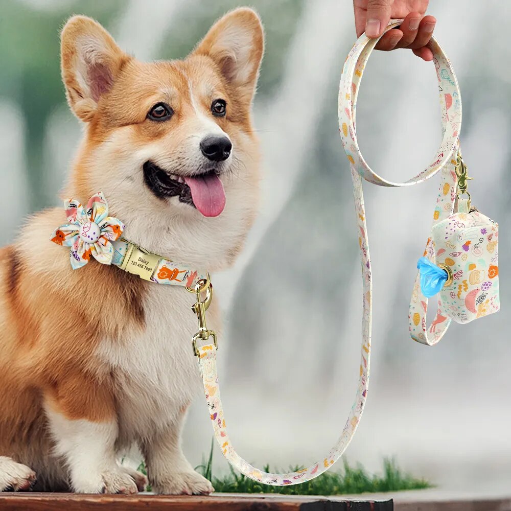 Personalized Dog Collar Leash Poop Bag Set Printed Nylon Custom Dog Collars