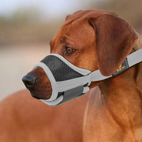 Breathable Mesh Pet Dog Muzzle Adjustable Anti Bark Dog Mouth Mask Cover Stop Chew Grooming Dog Muzzles