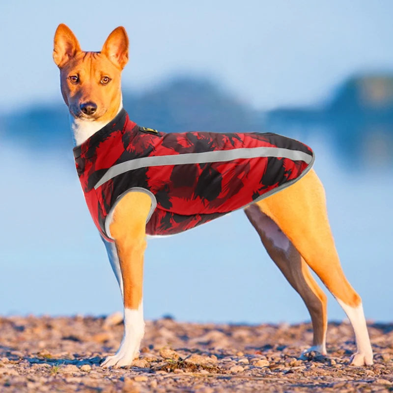 Large Dog Clothes Winter Warm Dogs Clothing Waterproof Pet Dog Jacket