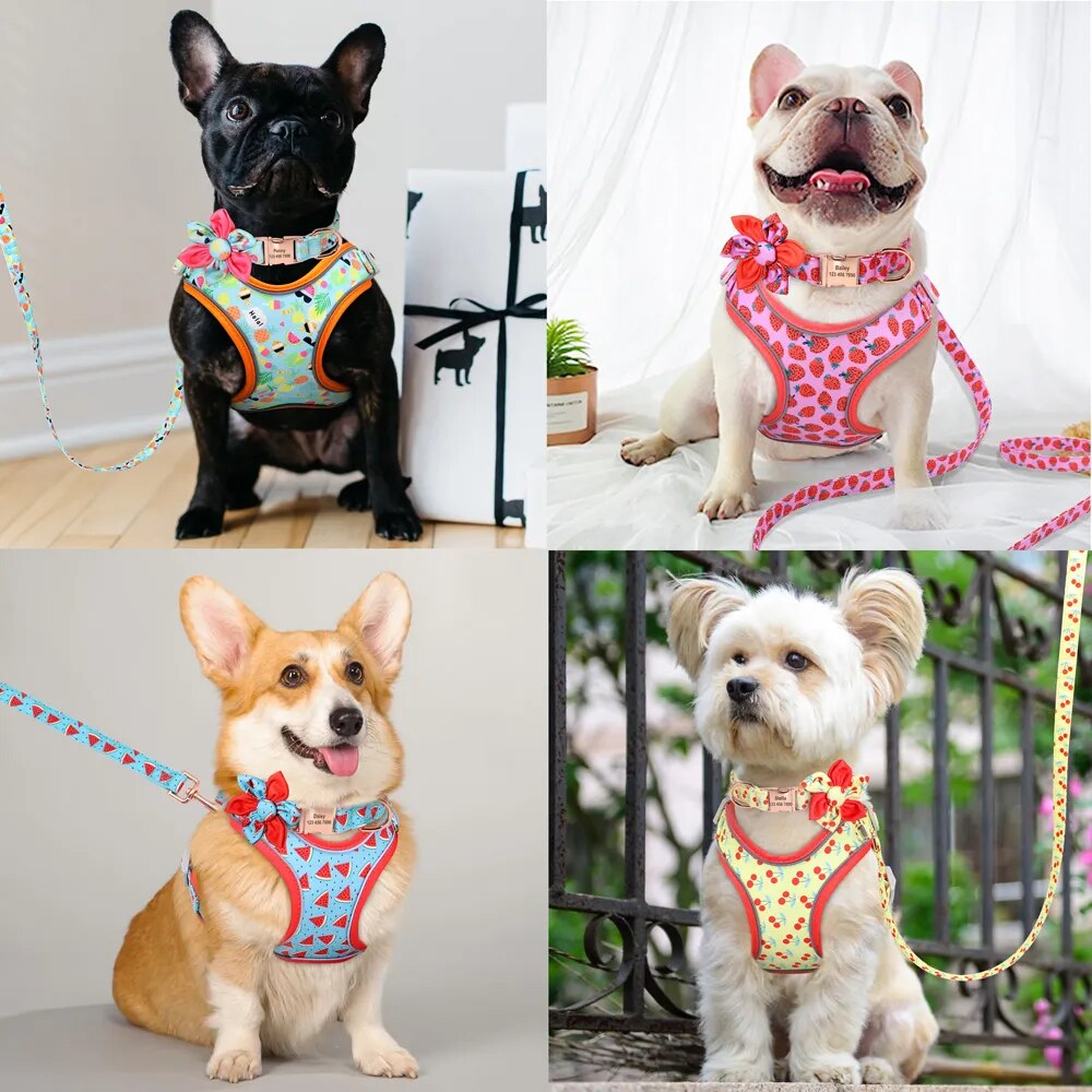 Custom Printed Dog Collar Leash Set Personalized Pet Dog Collar Harnesses