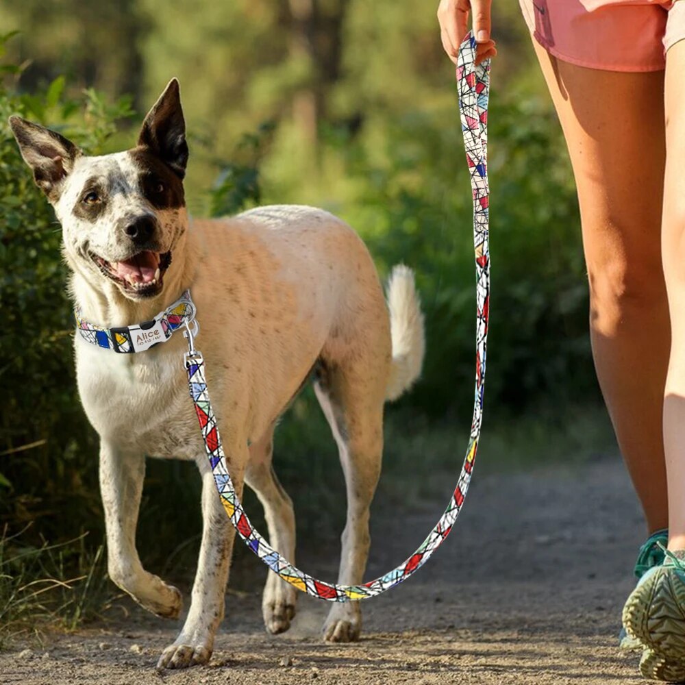 Custom Nylon Dog Collar And Leash Set Personalized Printed Dog Tag Collar