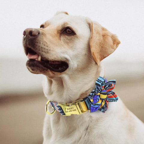 Fashion Printed Dog Collar Personalized Nylon Dog Collar Custom Pet Puppy Cat Collars Engraved ID