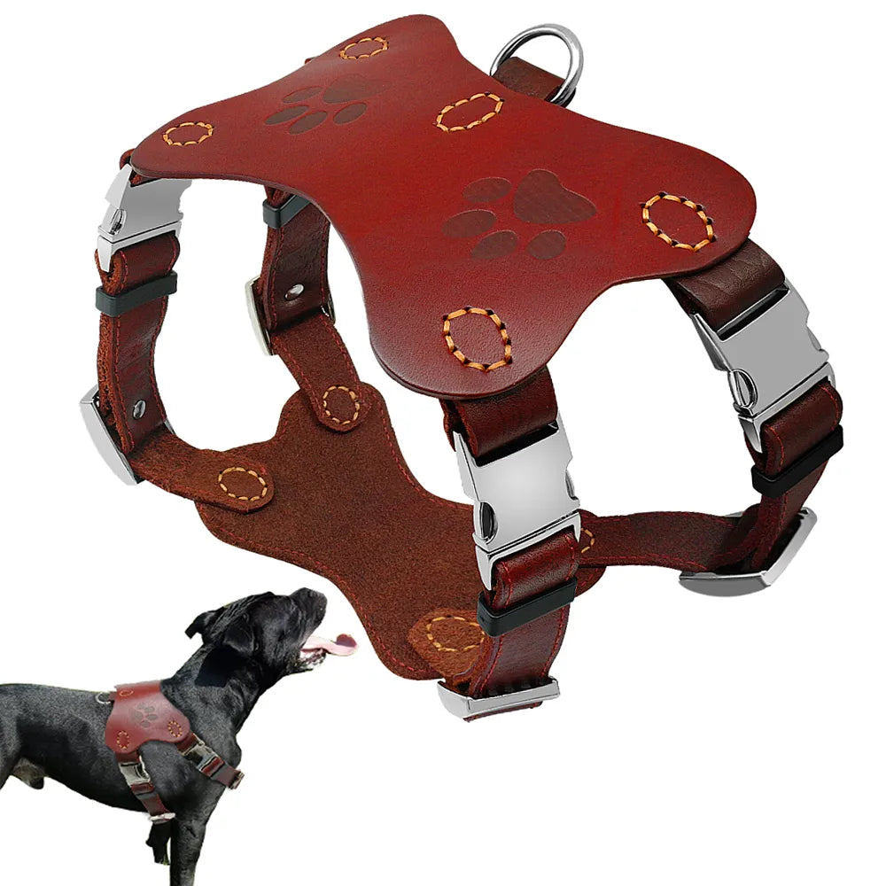 Pitbull Terrier Collars Harnesses Genuine Leather Dog Hraness Vest Large Dogs