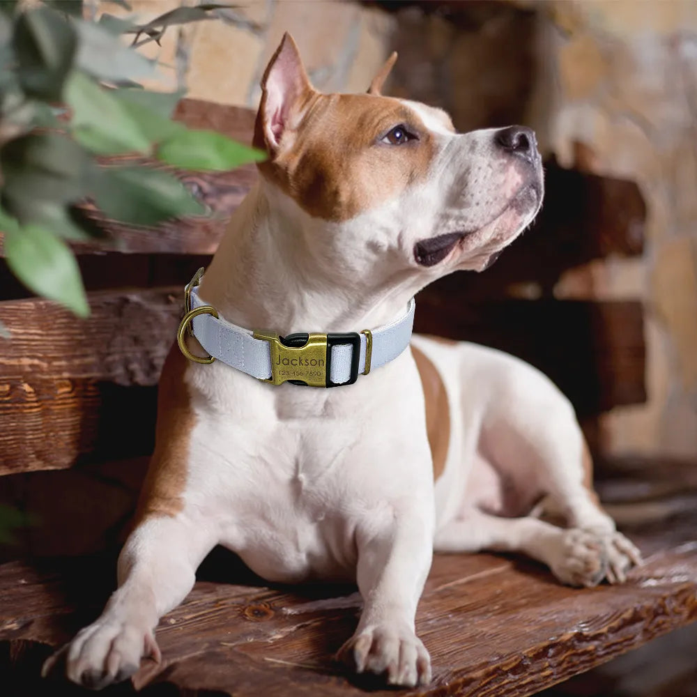 Personalized Nylon Dog Collar Custom Engraved Dog Tag Collar