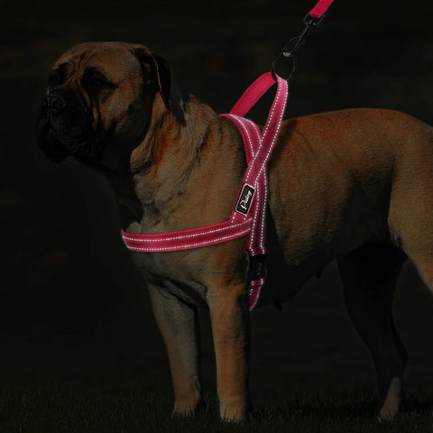 No Pull Reflective Dog Harness Leash Set Pet Vest Lead For Small Meduim Large Dogs