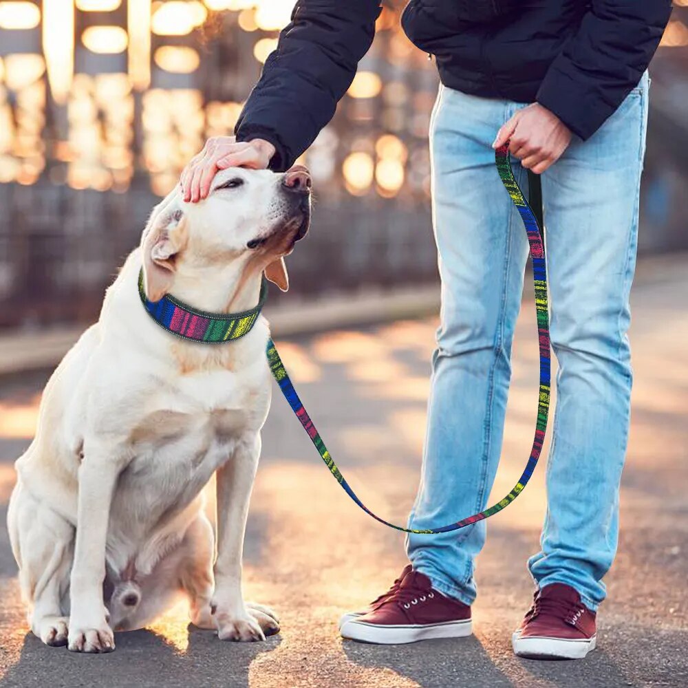 Soft Nylon Dog Collar And Leash Set Reflective Padded Dog Collar