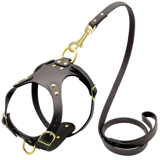 Dog Harness Vest Adjustable Genuine Leather Pet Dog Harness and Walking Leash Set