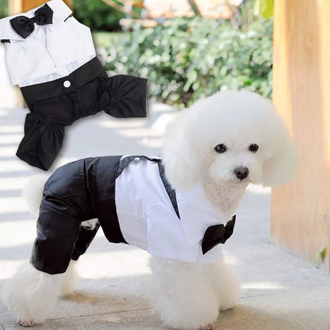 Handsome Pets Dog Suit Wedding Dress Clothes for Small Dogs Puppy Teddy Poodle Coat Pet Clothes